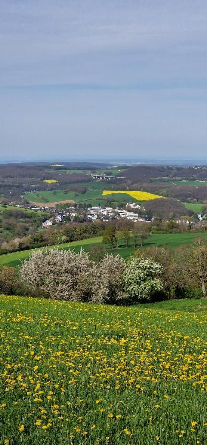 Apartmán Gemuetliche Auszeit In Der Eifel Mechernich Exteriér fotografie